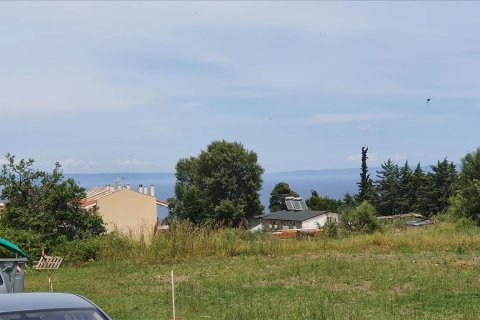 5786m² Land in Chalkidiki, Greece No. 56559 1