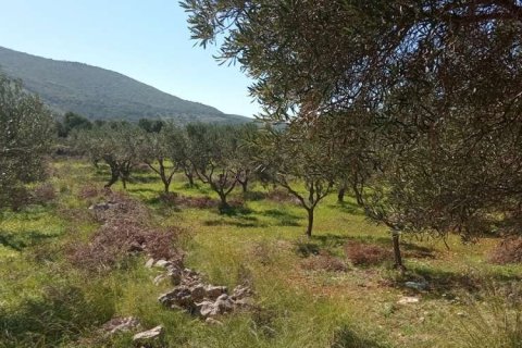 Land in Zakynthos, Greece No. 24563 11