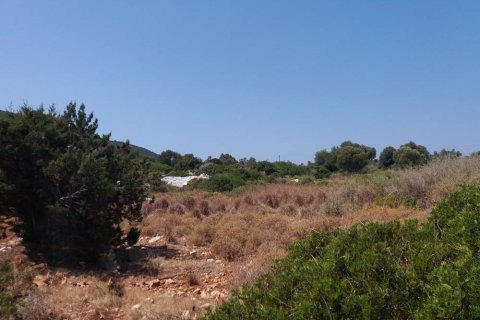 Land in Zakynthos, Greece No. 24563 7