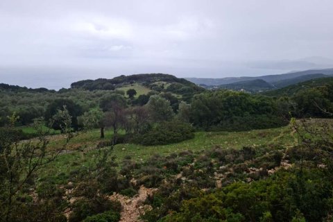 Land à Zakynthos, Greece No. 24585 10