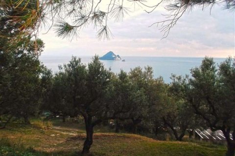 Land in Zakynthos, Greece No. 24588 3