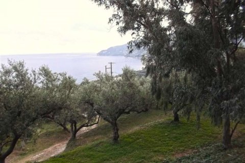 Land in Zakynthos, Greece No. 24588 7