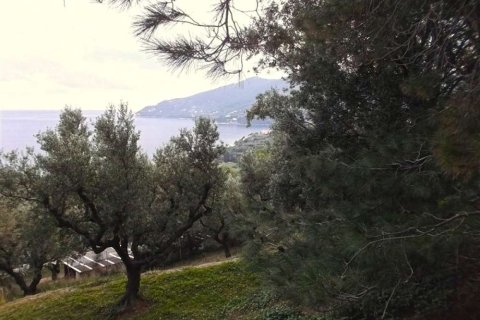 Land in Zakynthos, Greece No. 24588 4