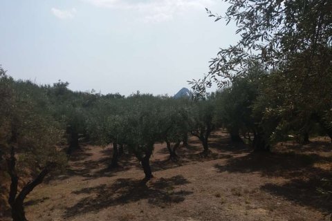 Land in Zakynthos, Greece No. 24588 9