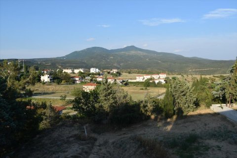 5 chambres House à Panorama, Greece No. 57201 9