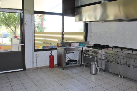 195m² Business in Katerini, Greece No. 57202 3