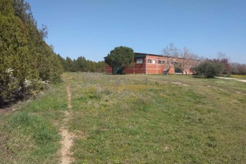 800m² Commercial property in Oraiokastro, Greece No. 54866 6