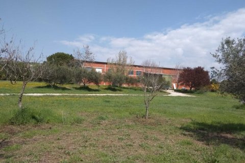 800m² Commercial property en Oraiokastro, Greece No. 54866 4