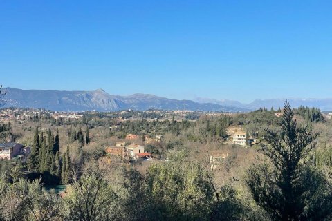 11029m² Land en Corfu, Greece No. 54935 19