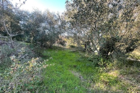 11029m² Land in Corfu, Greece No. 54935 10