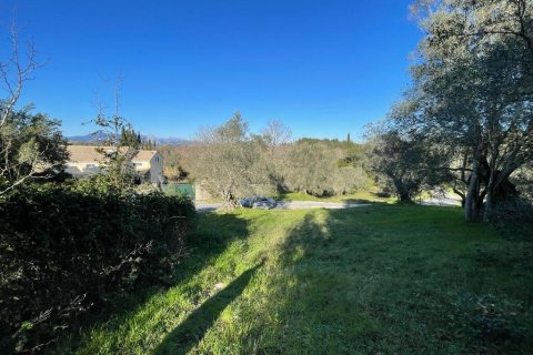 11029m² Land en Corfu, Greece No. 54935 8