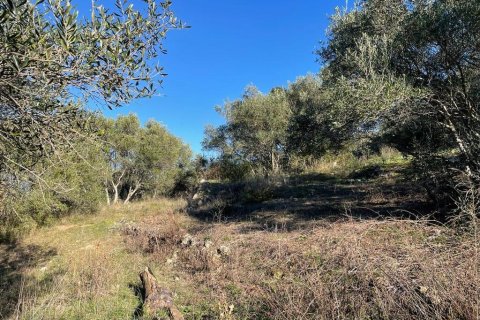 11029m² Land in Corfu, Greece No. 54935 28