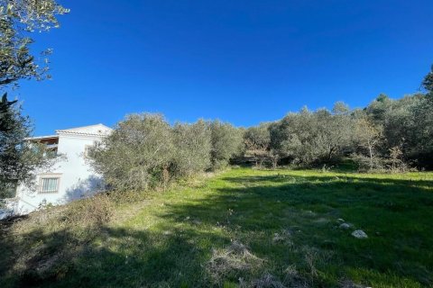 11029m² Land en Corfu, Greece No. 54935 3