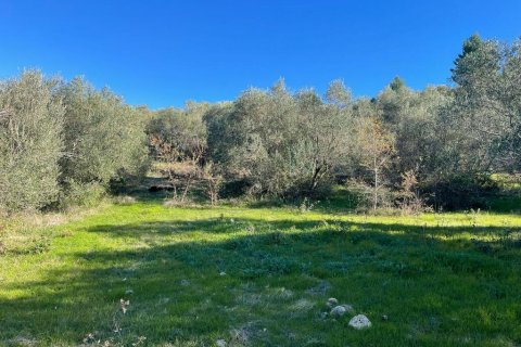 11029m² Land à Corfu, Greece No. 54935 26