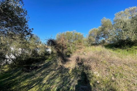 11029m² Land in Corfu, Greece No. 54935 5