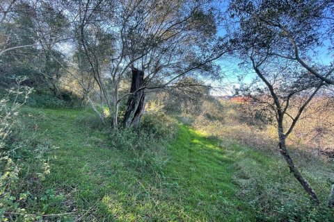 11029m² Land in Corfu, Greece No. 54935 6