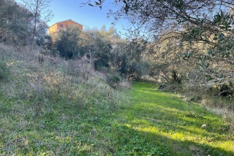 11029m² Land à Corfu, Greece No. 54935 7