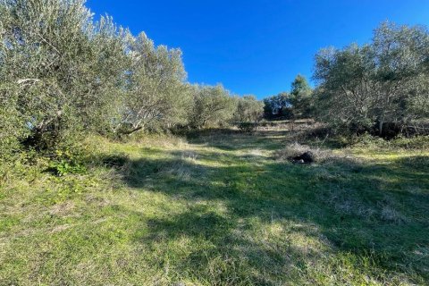 11029m² Land en Corfu, Greece No. 54935 4