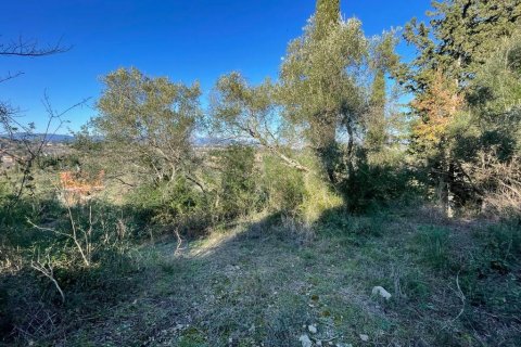 11029m² Land à Corfu, Greece No. 54935 22