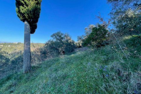 11029m² Land en Corfu, Greece No. 54935 21