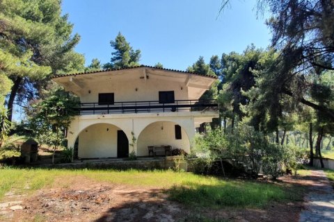 440m² Villa à Chalkidiki, Greece No. 56014 6