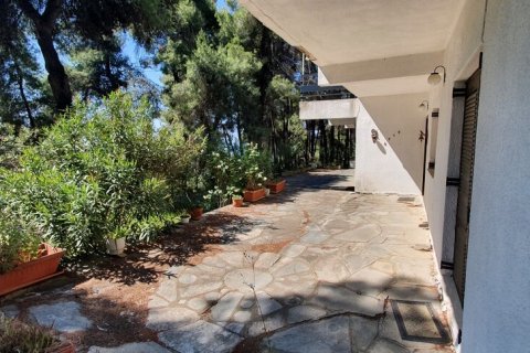 440m² Villa à Chalkidiki, Greece No. 56014 3