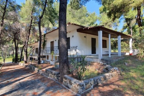 440m² Villa en Chalkidiki, Greece No. 56014 10