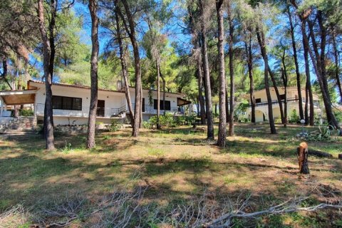 440m² Villa à Chalkidiki, Greece No. 56014 11