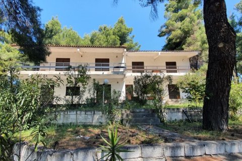 440m² Villa en Chalkidiki, Greece No. 56014 5