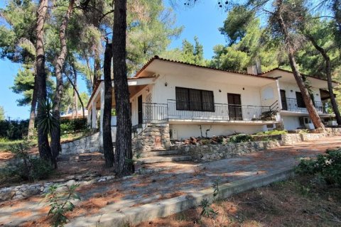 440m² Villa in Chalkidiki, Greece No. 56014 14