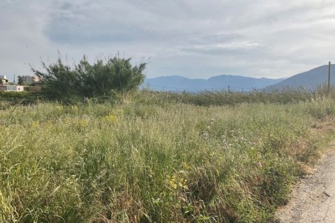 2500m² Land en Gazi, Greece No. 56016 2