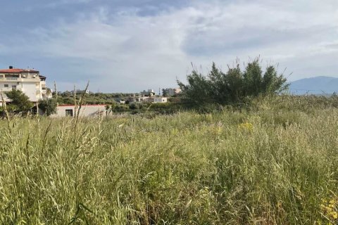 2500m² Land en Gazi, Greece No. 56016 3