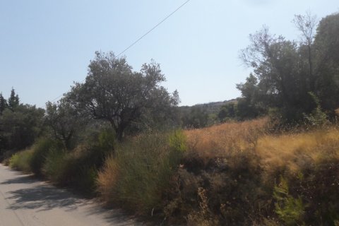 8076m² Land in Kalamos, Greece No. 56018 7