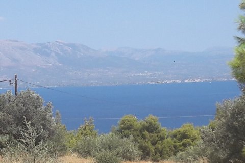 8076m² Land in Kalamos, Greece No. 56018 1