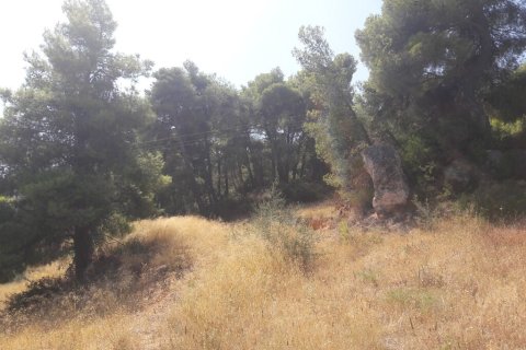 8076m² Land à Kalamos, Greece No. 56018 5