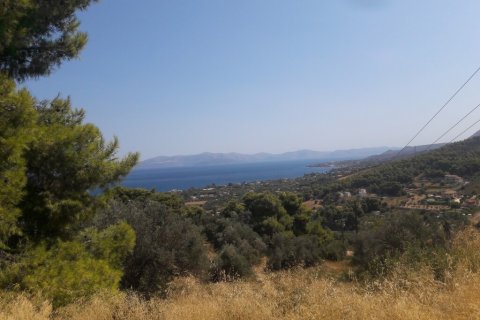 8076m² Land in Kalamos, Greece No. 56018 2