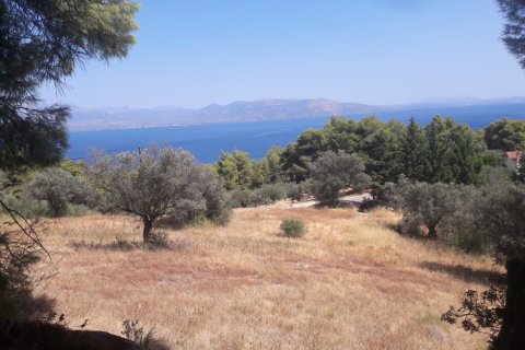 8076m² Land à Kalamos, Greece No. 56018 3