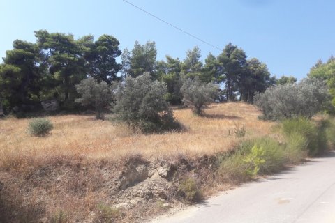 8076m² Land à Kalamos, Greece No. 56018 6