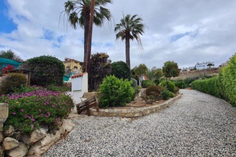 4 chambres Bungalow à Paphos, Cyprus No. 37909 13