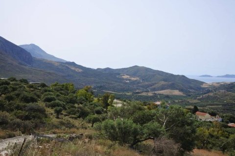 7372m² Land en Rethymno, Greece No. 24093 4