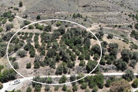 7372m² Land en Rethymno, Greece No. 24093 3