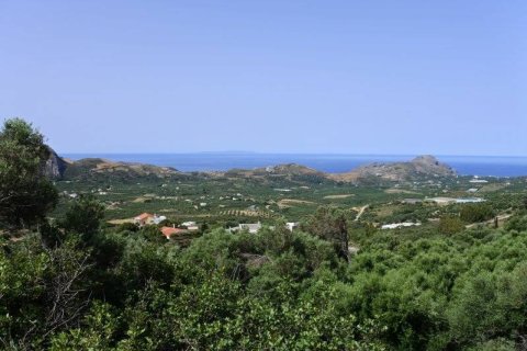 7372m² Land in Rethymno, Greece No. 24093 2