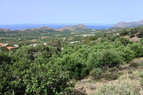 7372m² Land en Rethymno, Greece No. 24093 7