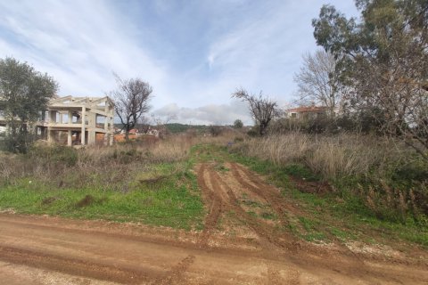 1100m² Land in Chalkidiki, Greece No. 56401 6