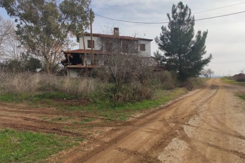 1100m² Land in Chalkidiki, Greece No. 56401 2