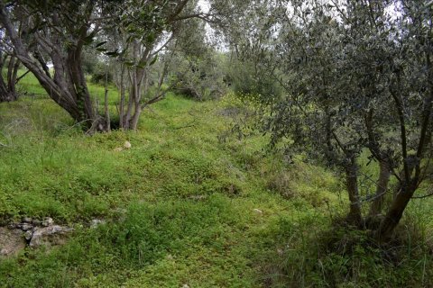 45000m² Land in Rethymno, Greece No. 58813 7