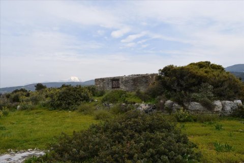 45000m² Land à Rethymno, Greece No. 58813 12