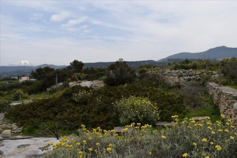 45000m² Land in Rethymno, Greece No. 58813 13