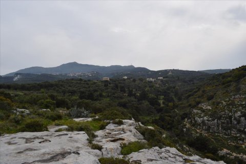 45000m² Land in Rethymno, Greece No. 58813 9