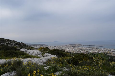 45000m² Land in Rethymno, Greece No. 58813 15